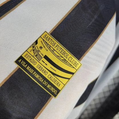 Away 24/25 Men's Shirt