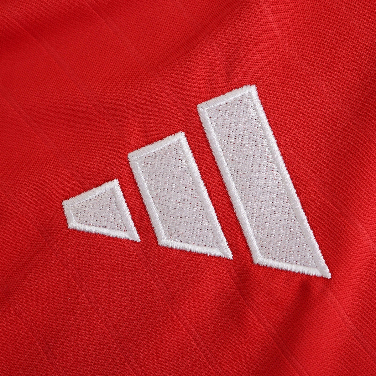 Home 24/25 Men's Shirt
