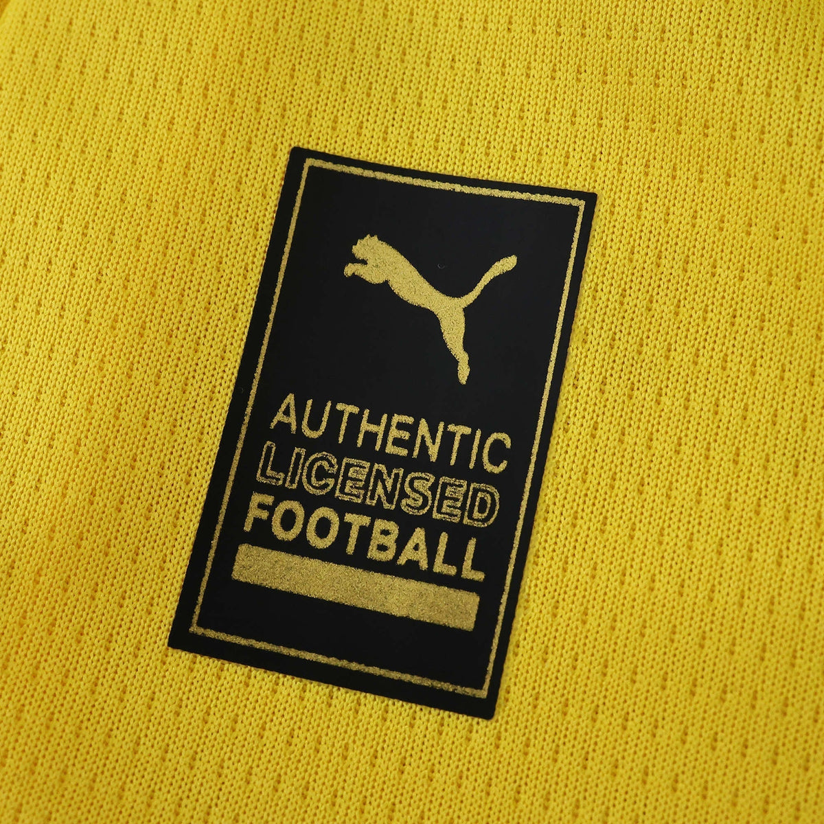 Home 25/26 Men's Shirt
